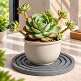 Diatomite Stone Plant Coaster, Set of 2
