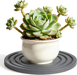 Diatomite Stone Plant Coaster, Set of 2